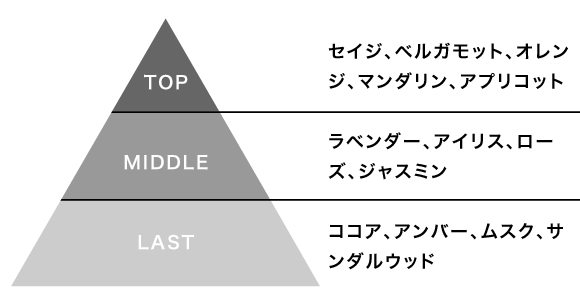 【TOP】セイジ、ベルガモット、オレンジ、マンダリン、アプリコット【MIDDLE】ラベンダー、アイリス、ローズ、ジャスミン【LAST】ココア、アンバー、ムスク、サンダルウッド